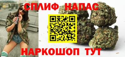стаф Кулебаки
