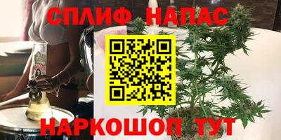 стаф Кулебаки