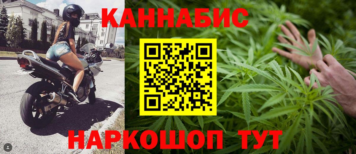 Каннабис планчик  Марихуана план  Заводоуковск  Вход с VPN  Бошки марихуана индика 